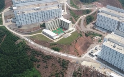 A 12-storey pig farm: has China found the way to tackle animal disease?