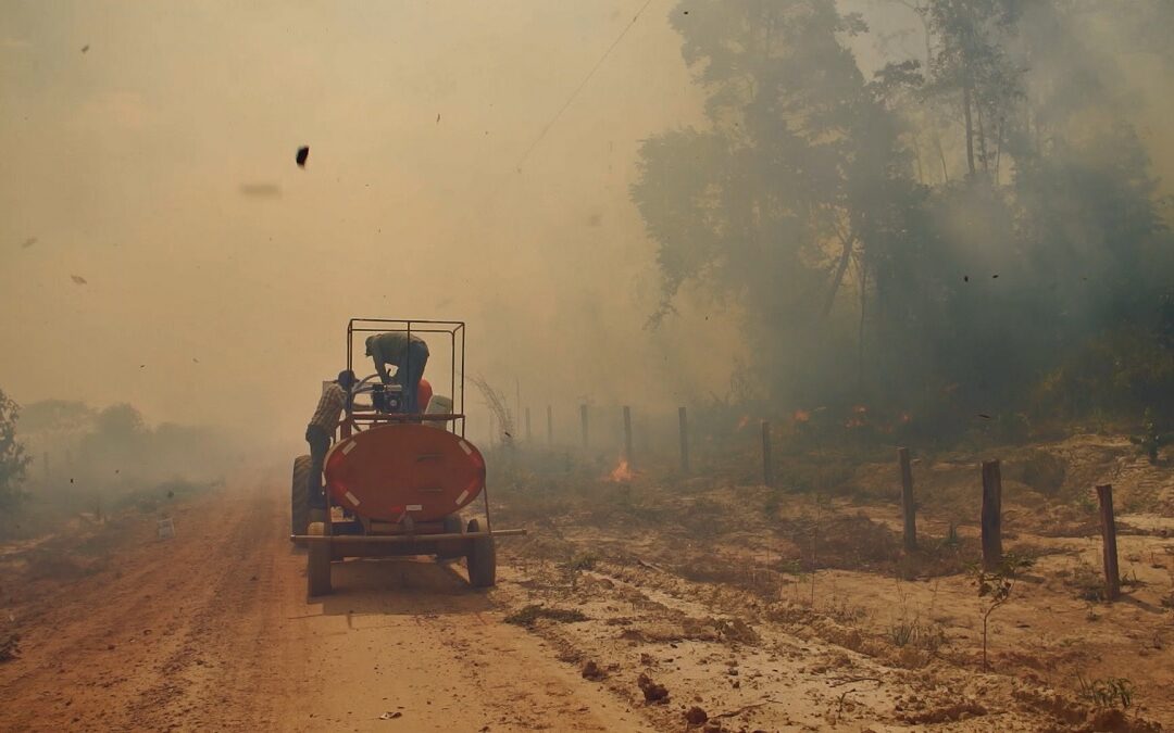 Soy business: Brazil is burning, the responsability of the big corporations
