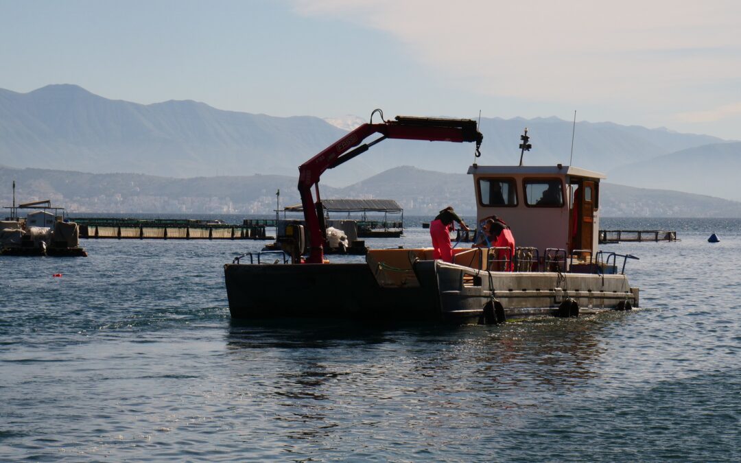 Ocean desolation: how fish farm pollution is killing marine life in Greece