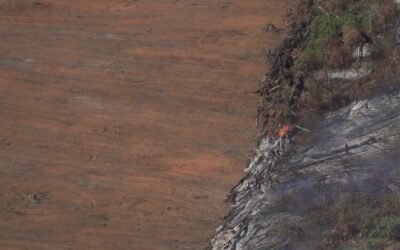 Amazzonia, 2021 anno record per la deforestazione in Brasile