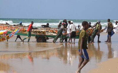 How EU Green Deal fosters overfishing in West Africa