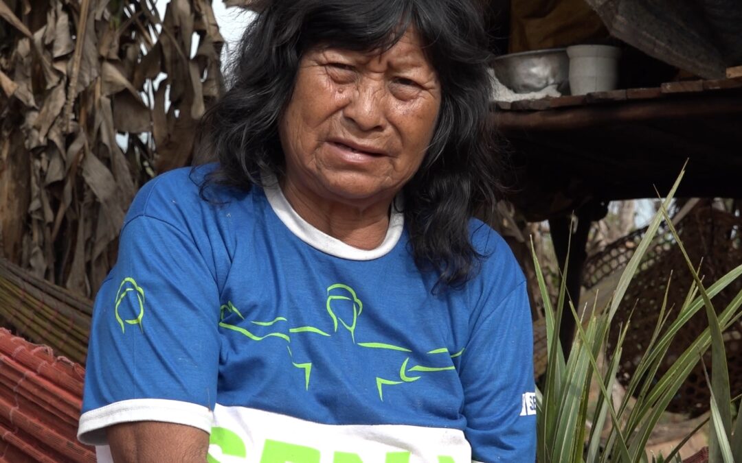 Dalla terra degli indigeni alle nostre tavole: il viaggio della carne bovina dalle aree deforestate dell’Amazzonia