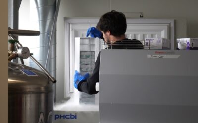 Viaggio nella fabbrica olandese che coltiva la carne