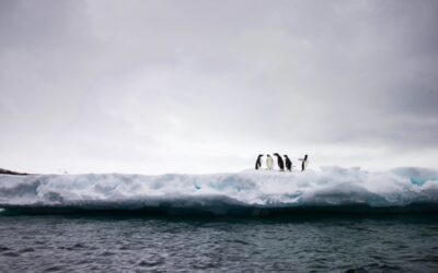 Amid record melting, countries fail again to protect Antarctic waters