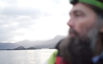 Salmoni, cosa sta succedendo negli allevamenti in Scozia?