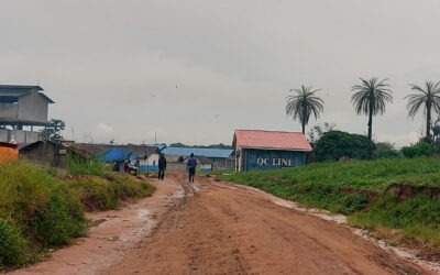 A journey to Boteka: where only oil palms enjoy the right to land in DRC’S Northwest