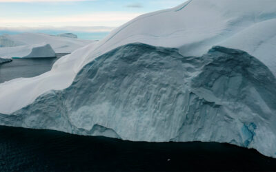 Catture record di krill in Antartide, chiusa in anticipo la pesca
