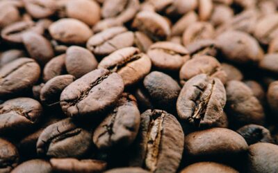 Deforestation in your cup: How coffee is deforesting the Amazon, pushing to stop EU rules