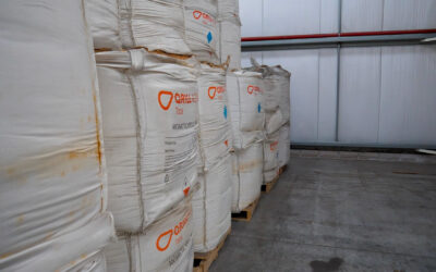 Antartide, scontro diplomatico sulla pesca del krill