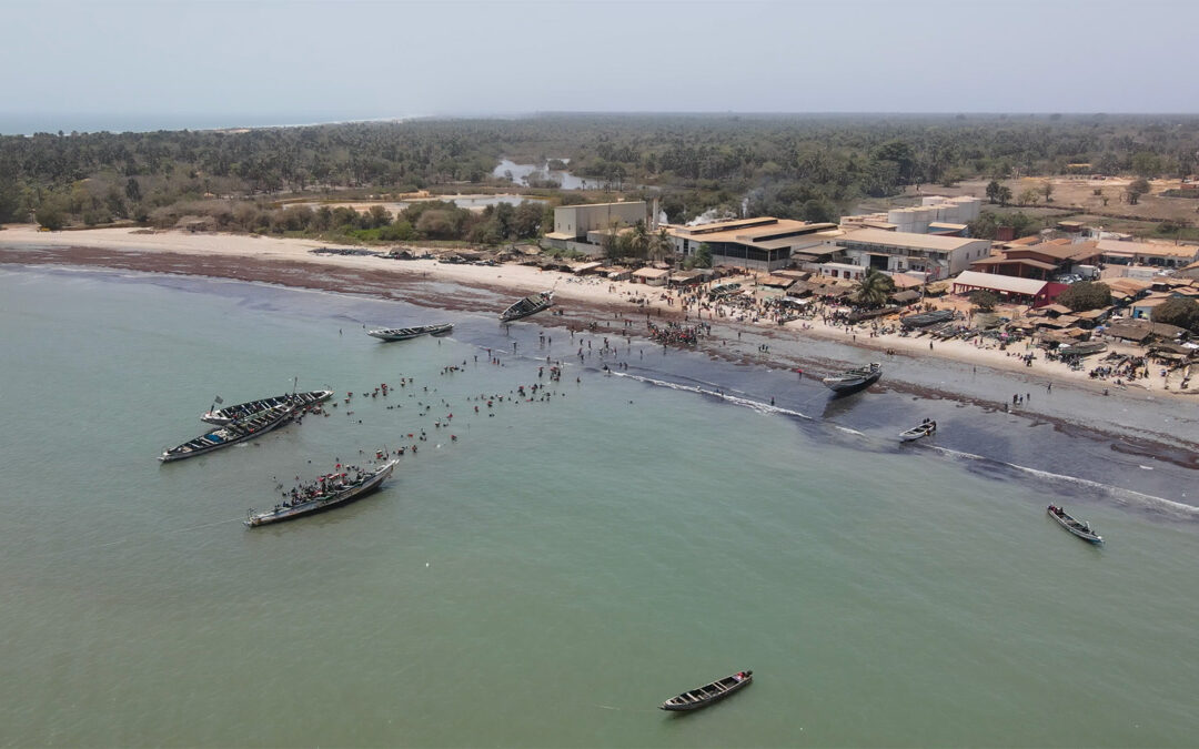 L’effetto migratorio delle fabbriche di farina di pesce in Gambia