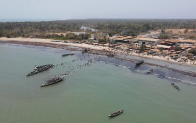 L’effetto migratorio delle fabbriche di farina di pesce in Gambia