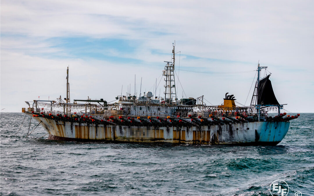Violazioni e abusi nella pesca al calamaro gigante nel Pacifico