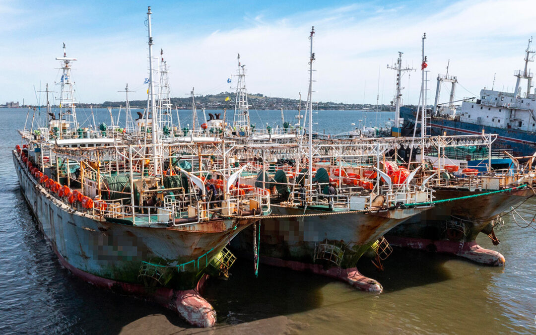 Scarsi passi avanti sulla pesca del calamaro dal summit sul Pacifico Meridionale