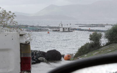 Coltivare il mare: l’espansione dell’acquacoltura e la trasformazione della vita costiera nella Grecia occidentale